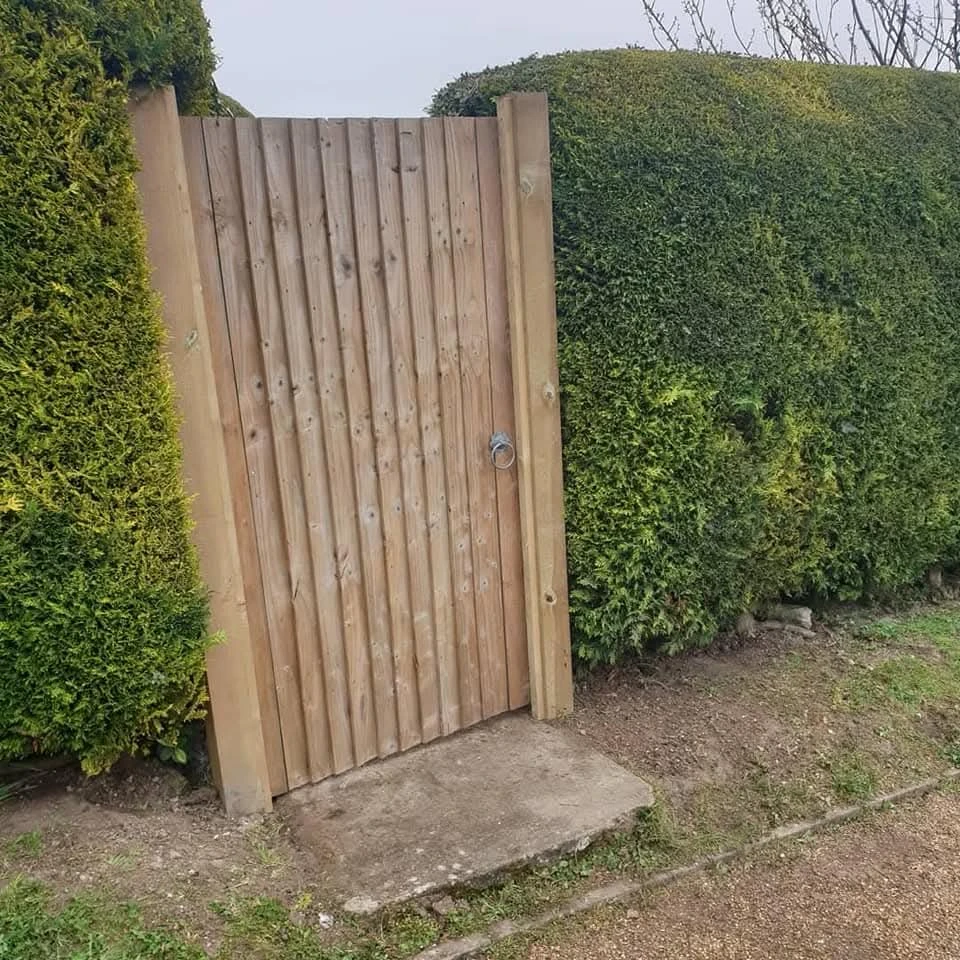 New wooden garden fence.
