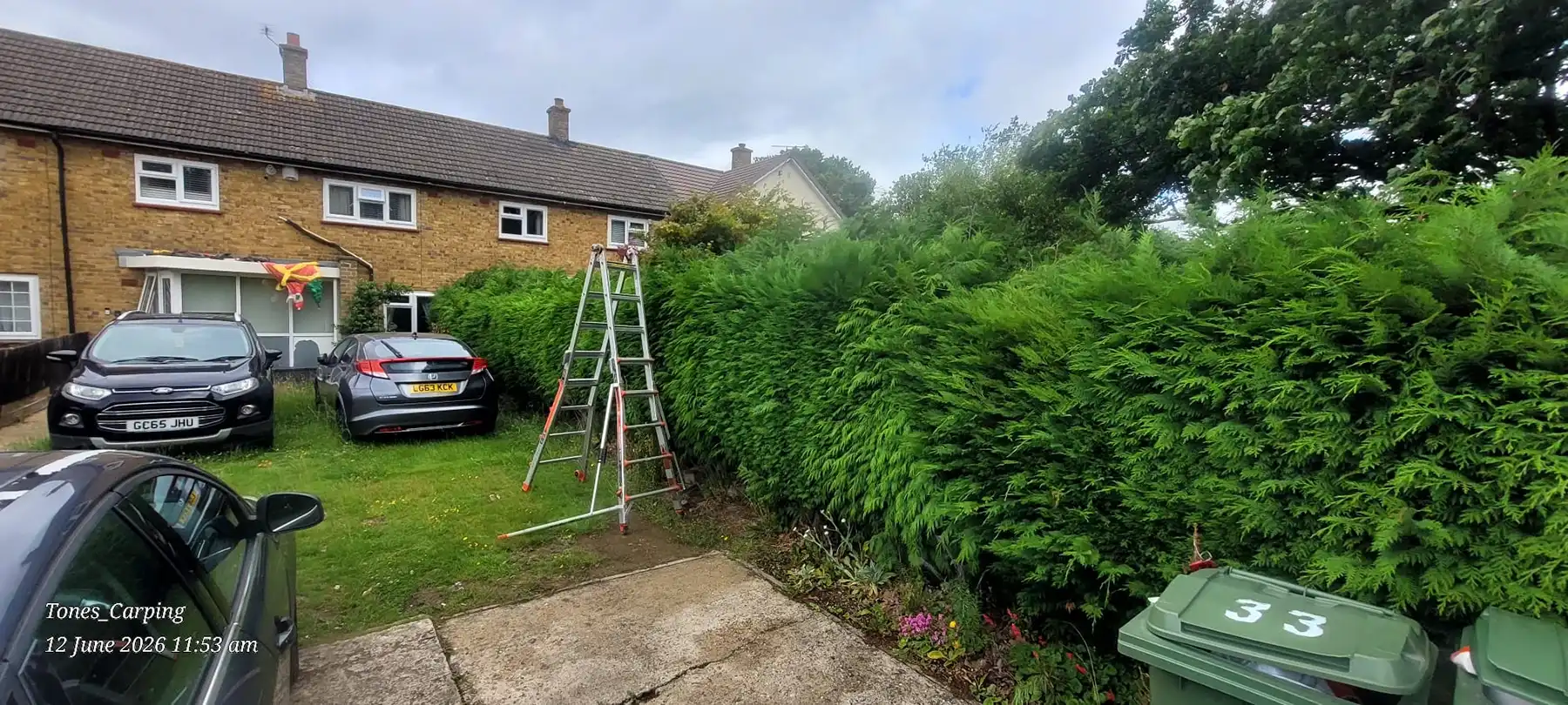 Garden with cars in it, and hege that needs trimming.