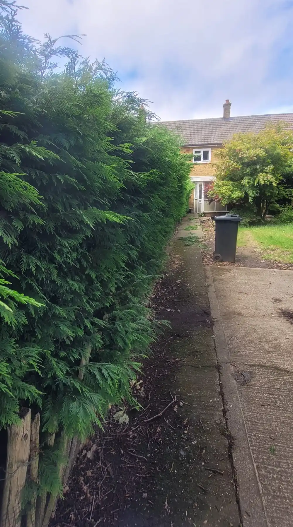 Hedge in need of a trim!