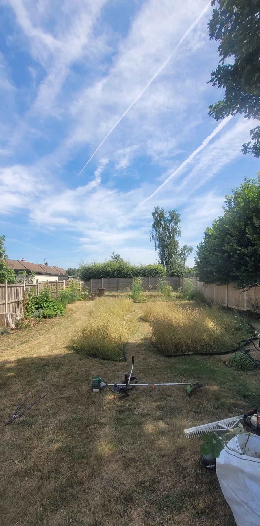 Large garden in need of some tlc!