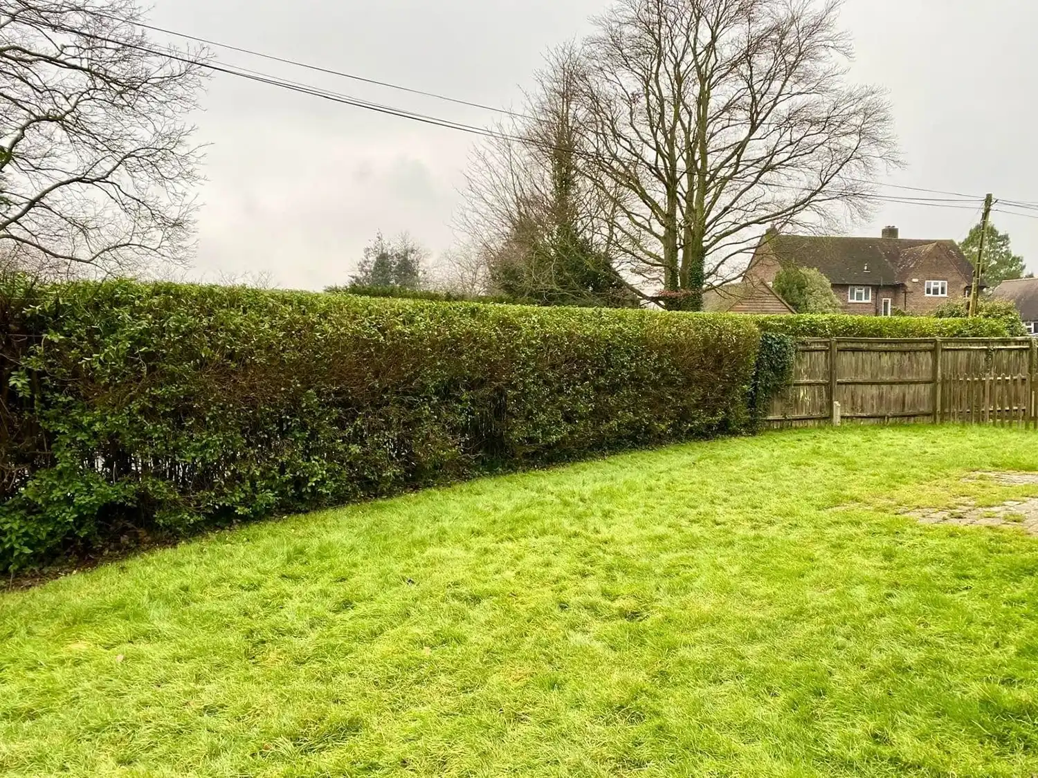 Trimmed hedge in a large garden